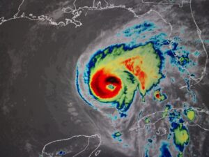 Preparing for Catastrophe: A Conversation with Steve Powell