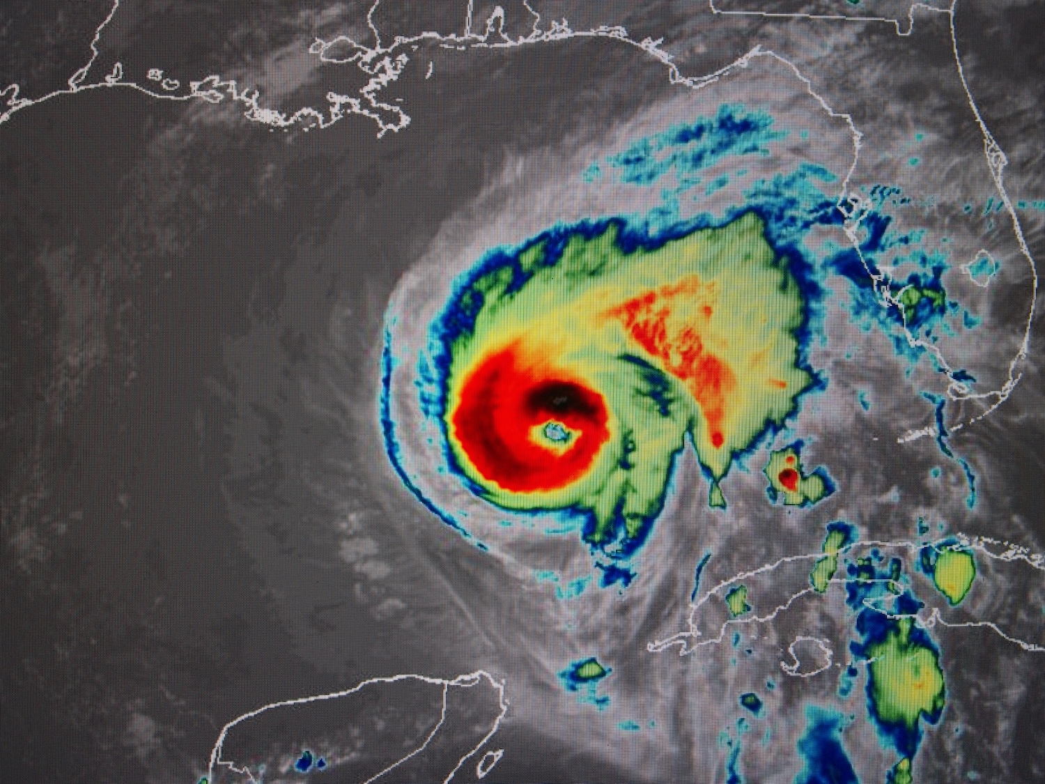 Preparing for Catastrophe: A Conversation with Steve Powell