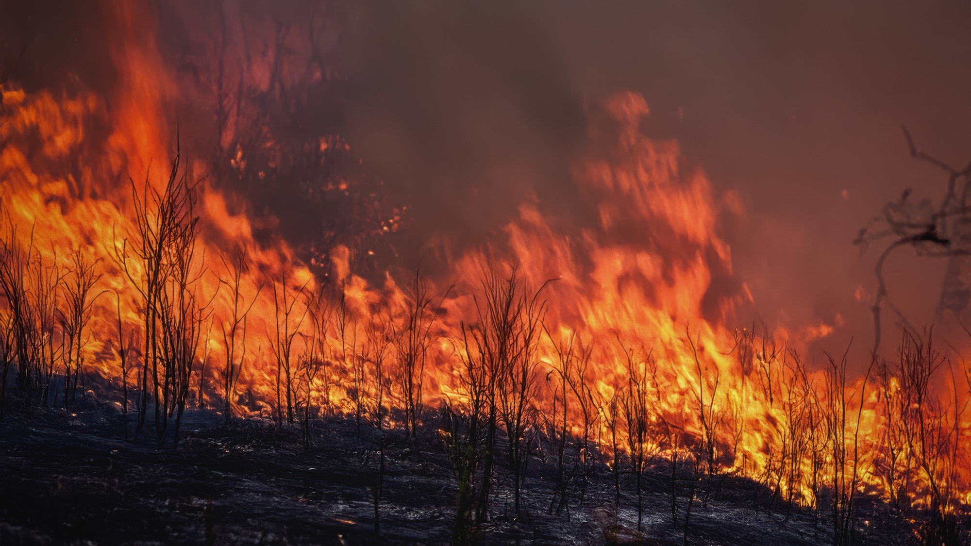 GettyImages 2207495134