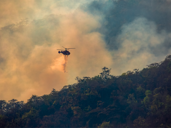 24 2155 11 19 SEDG AUS Strom Blog Header