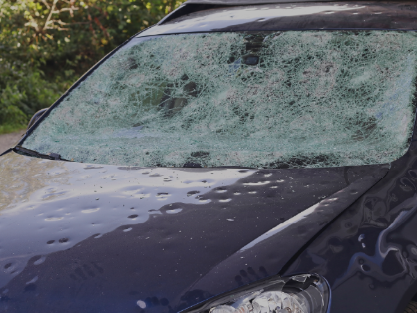 25 256 SEDG blog Auto CAT Appraisals 01