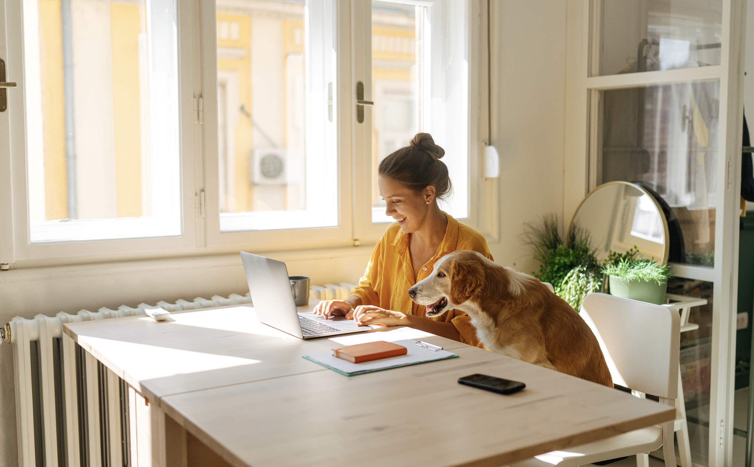 Exploring the complexity of a remote employeeas work state